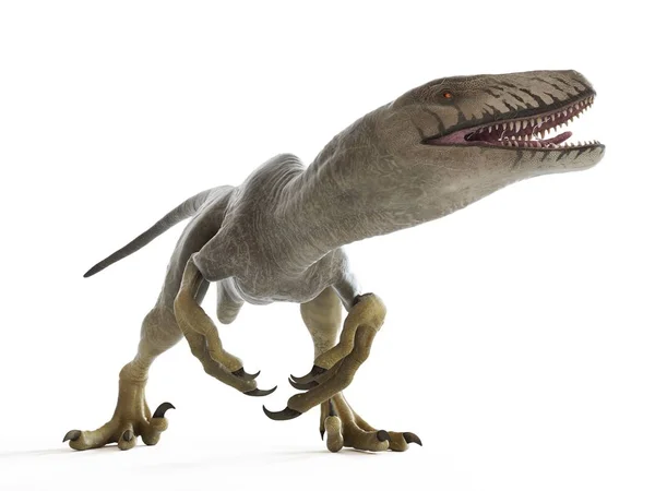 Illustratie Van Dakotaraptor Dinosauriërs Witte Achtergrond — Stockfoto