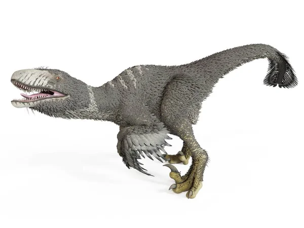 Tüylü Dakotaraptor Dinozor Beyaz Arka Plan Üzerinde Gösterimi — Stok fotoğraf