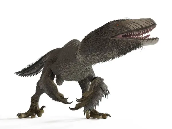 바탕에 깃털된 Dakotaraptor — 스톡 사진