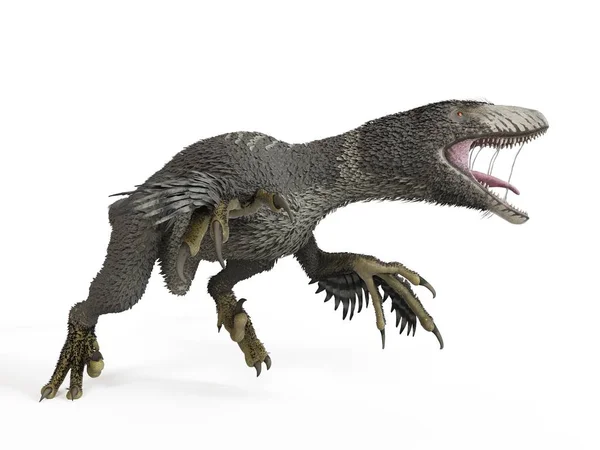 Illusztráció Tollas Dakotaraptor Dinoszaurusz Fehér Háttér — Stock Fotó
