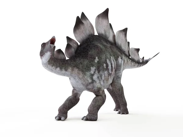 Illustratie Van Gemodelleerde Stegosaurus Dinosaurus Witte Achtergrond — Stockfoto
