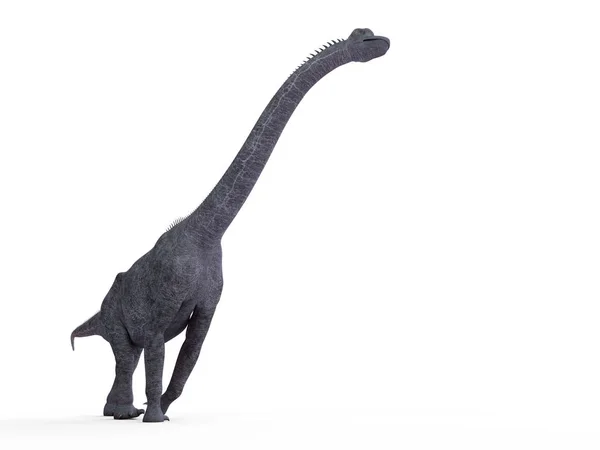 Ilustrace Modelovaný Brachiosaurus Dinosaura Bílém Pozadí — Stock fotografie