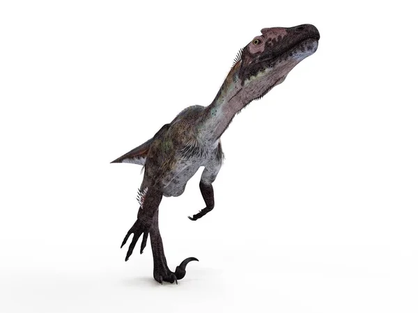 Ilustración Dinosaurio Utahraptor Modelado Sobre Fondo Blanco — Foto de Stock
