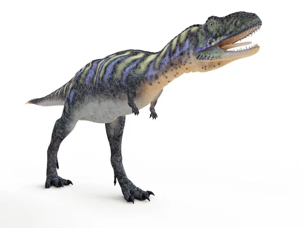 Ilustrace Modelovaný Aucasaurus Dinosaura Bílém Pozadí — Stock fotografie