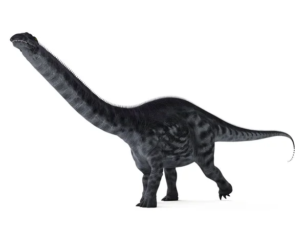 Illustration Des Modellierten Apatosaurus Dinosauriers Auf Weißem Hintergrund — Stockfoto