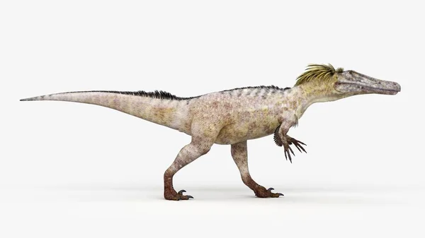 Illustration Modeled Austoraptor Dinosaur White Background — Stock Photo, Image