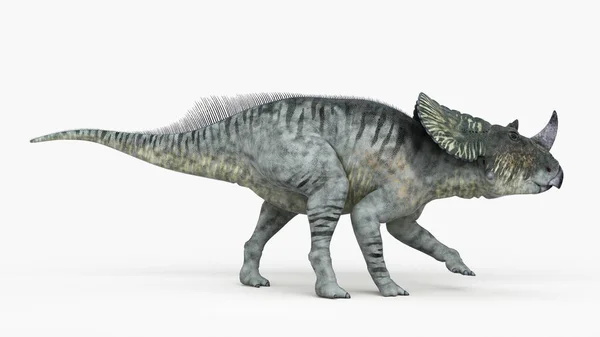 Illustrazione Del Dinosauro Brachyceratops Modellato Sfondo Bianco — Foto Stock