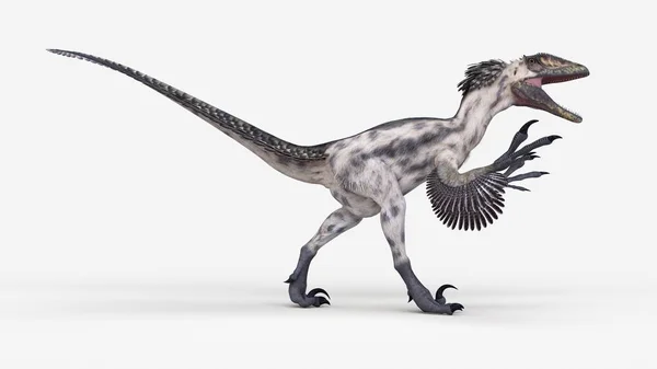 Beyaz Arka Plan Üzerinde Modellenmiş Deinonychus Dinozor Çizimi — Stok fotoğraf