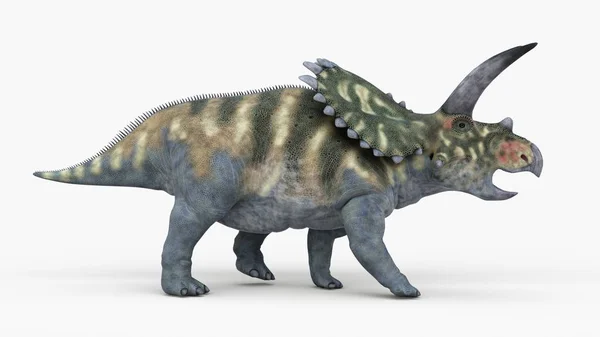 Illustratie Van Gemodelleerde Coahuilaceratops Dinosaurus Witte Achtergrond — Stockfoto