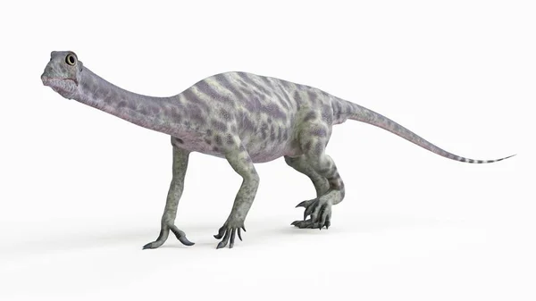 Illustratie Van Gemodelleerde Anchisaurus Dinosaurus Witte Achtergrond — Stockfoto