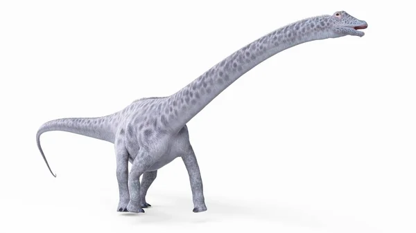 Ilustração Dinossauro Diplossauro Modelado Sobre Fundo Branco — Fotografia de Stock