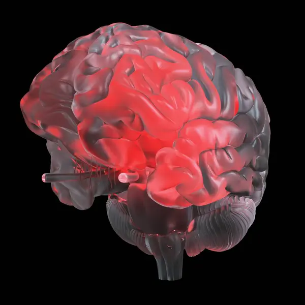 赤い輝く透明なガラス脳のイラスト — ストック写真