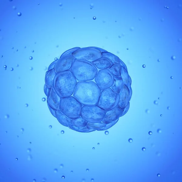 Blastosist Hücrenin Büyütülmüş Dijital Illüstrasyon — Stok fotoğraf