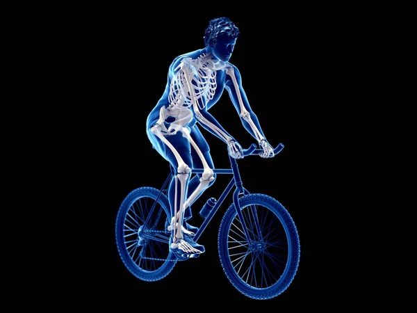 Rendered Illustration Skeleton Silhouette Male Cyclist Black Background — Stock Photo, Image