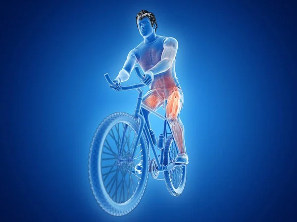 Wytopione Ilustracja Kolarz Wyświetlone Aktywne Mięśnie Niebieskim Tle — Zdjęcie stockowe