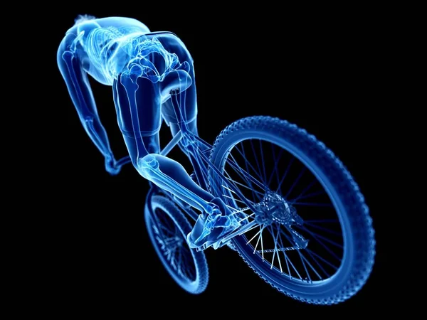 被渲染的骨架例证在男性骑自行车的剪影在黑色背景 — 图库照片