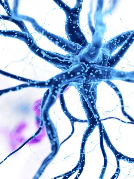 Цифрова Ілюстрація Синьої Нервової Клітини Людини — стокове фото