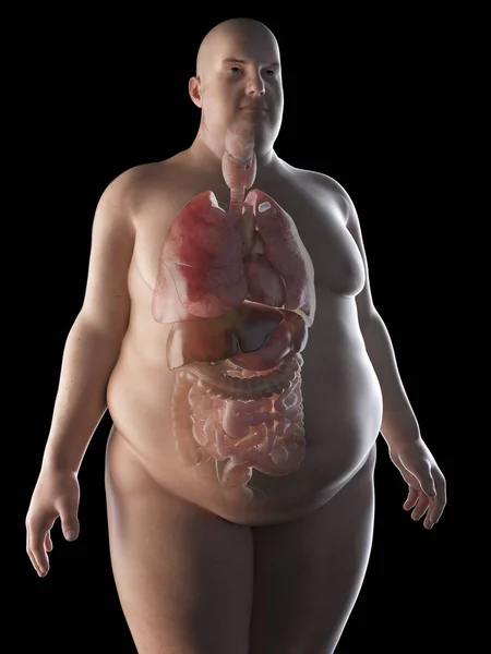 Illustration Silhouette Obese Man Visible Organs — Stock Photo, Image