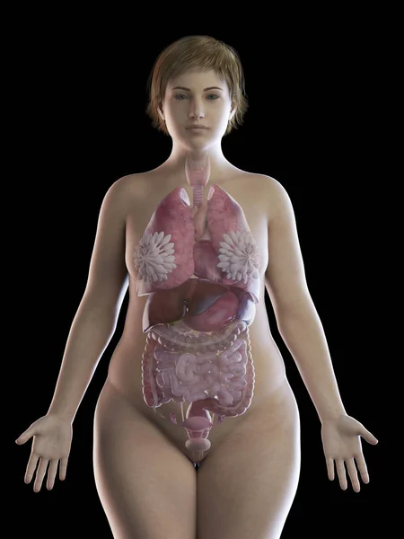 Ilustração Mulher Com Sobrepeso Com Órgãos Visíveis Fundo Preto — Fotografia de Stock