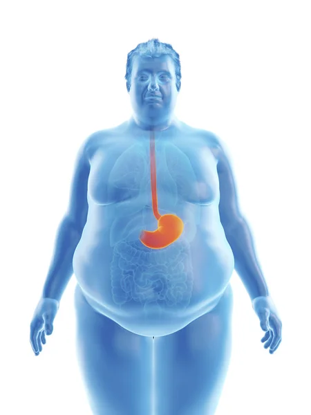 目に見える胃の肥満の男性のシルエットのイラスト — ストック写真