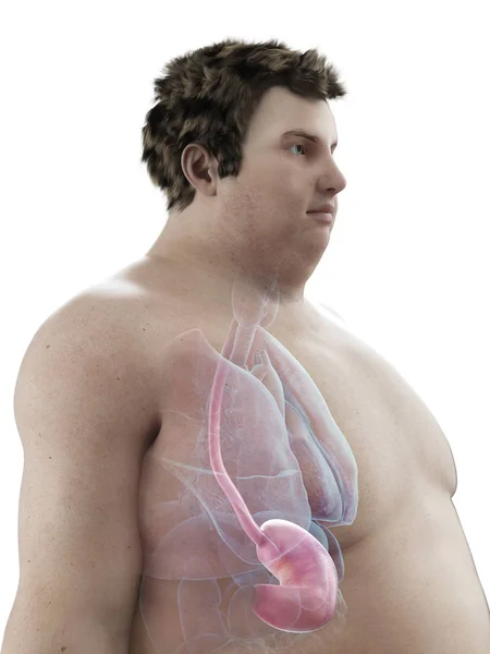Ilustração Figura Homem Obeso Com Estômago Visível — Fotografia de Stock
