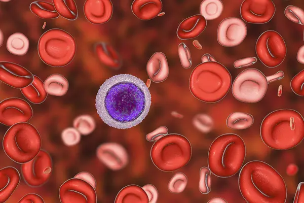 Ilustração Digital Glóbulos Vermelhos Hipocrômicos Microcíticos Enquanto Anemia Por Deficiência — Fotografia de Stock