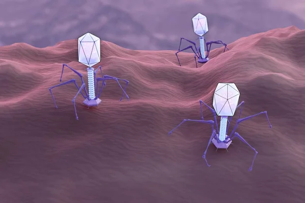 Цифровая Иллюстрация Вирусов Бактериофагов Заражающих Бактерии — стоковое фото