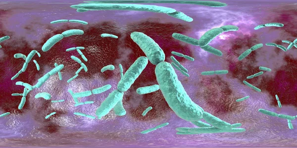 Lactobacillus Bacteriën Digitale Afbeelding Met 360 Graden Panorama — Stockfoto