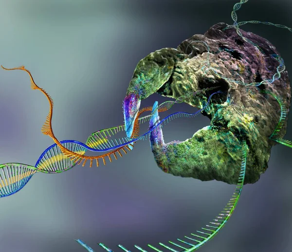 Crispr Cas9 Complexo Edição Genes Dna Células Ilustração Conceitual — Fotografia de Stock