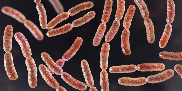 Lactobacillus Bacteriën Menselijke Dunne Darm Microbiome Digitale Illustratie — Stockfoto