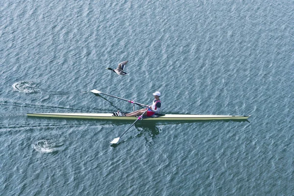 Hombre Atleta Remo Único Scull Bote Remos —  Fotos de Stock