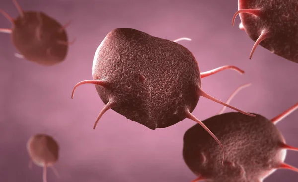 Απεικόνιση Των Ενεργοποιημένων Αιμοπεταλίων Και Θρομβοκυττάρων Ενώ Επούλωση Και Κλείσιμο — Φωτογραφία Αρχείου
