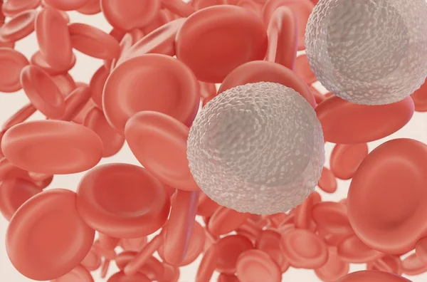 Monocyte Białych Krwinek Krwiobiegu Czerwonych Krwinek Ilustracja Cyfrowa — Zdjęcie stockowe