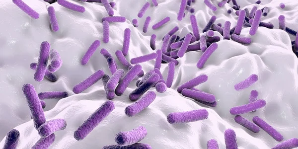 Fäkalbakterium Prausnitzii Bakterien Menschlichen Darm Digitale Illustration — Stockfoto