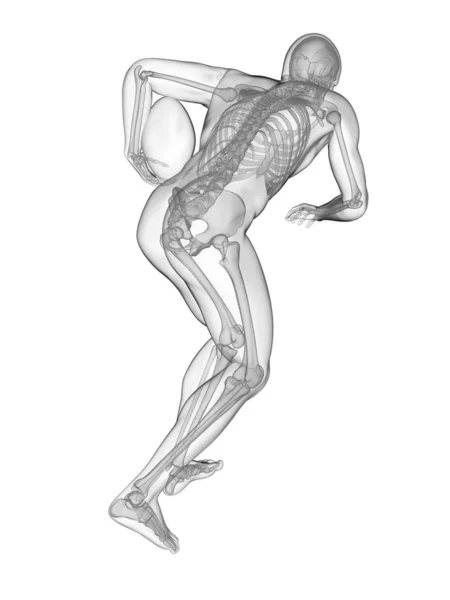 Rugby Player Skeletal System Digital Illustration — Stock Photo, Image