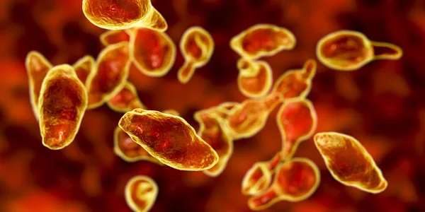 Mycoplasma Genitalium Pasożytniczych Bakterii Cyfrowy Ilustracja — Zdjęcie stockowe