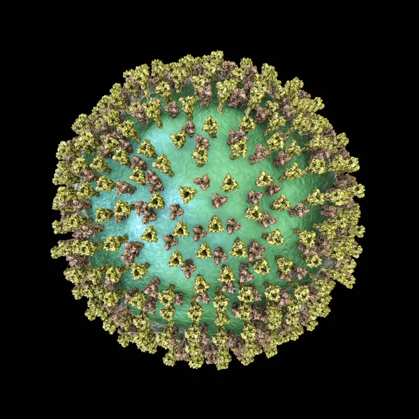 Mässling Virus Partikel Dator Illustration — Stockfoto