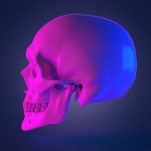 Yan Görünümde Insan Kafatası Bilgisayar Çok Renkli Illüstrasyon — Stok fotoğraf