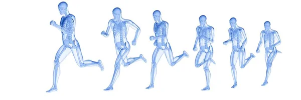 Sammansatt Digital Illustration Löpare Med Synligt Skelett — Stockfoto