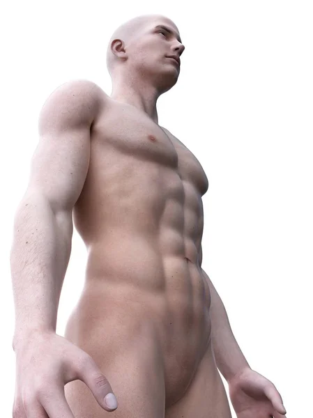 Abstrakt Siluett Muskulös Man Digital Illustration — Stockfoto