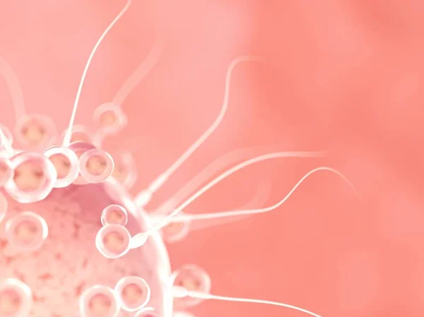 Gjødsling Eggceller Med Spermatozoa Digital Illustrasjon – stockfoto