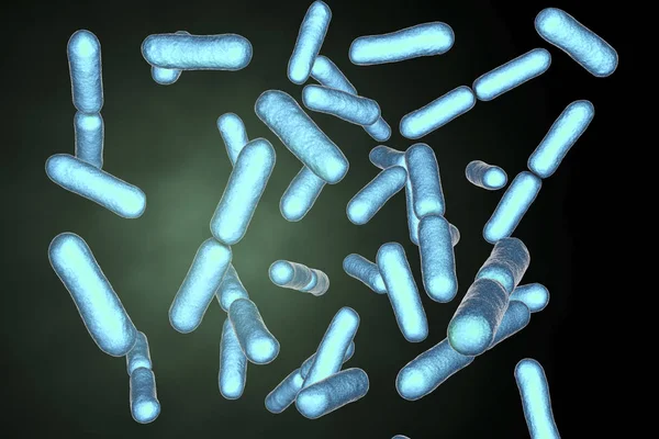 Blauw Gekleurde Probiotische Staafvormige Gram Positieve Aerobe Bacillus Clausii Bacteriën — Stockfoto