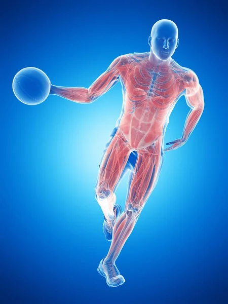 Male Basketball Player Muscles While Running Ball Computer Illustration — Stock Photo, Image