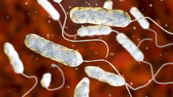 Ψηφιακή Απεικόνιση Των Βακτηρίων Legionella Pneumophila Αιτία Της Νόσου Των — Φωτογραφία Αρχείου