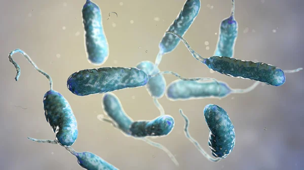 Vibrio Vulnificus Bacteriën Gevonden Zeewater Gekleurde Computer Illustratie — Stockfoto