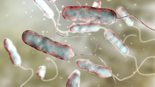 Digital Illustration Legionella Pneumophila Bacteria Cause Legionnaires Disease — стокове фото