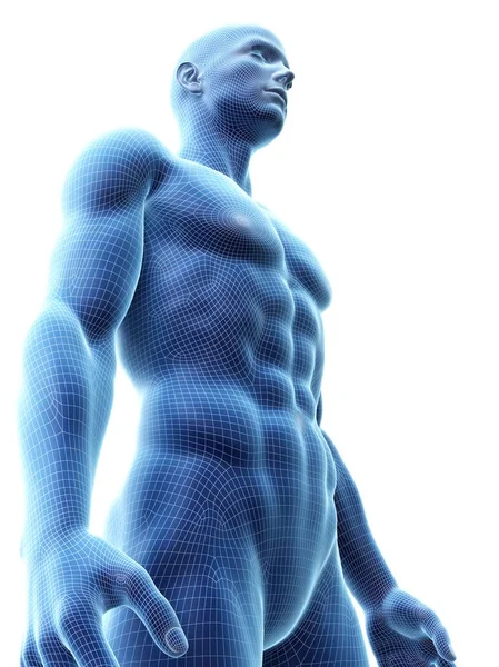 Abstract Silhouette Muscular Man Digital Illustration — Stock Photo, Image