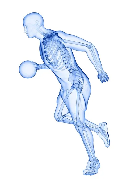 Skeleton Basketball Player Action Computer Illustration — Stock Photo, Image