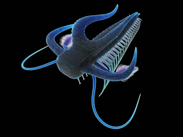 マレッラ海洋性節足動物 デジタルイラスト — ストック写真