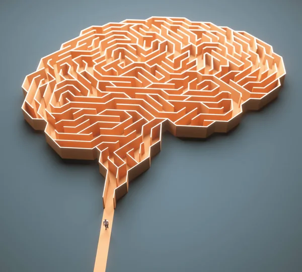 Cerebro Humano Ilustración Conceptual — Foto de Stock